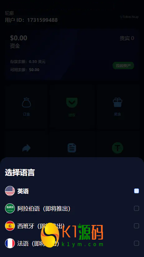 海外4语言理财分销源码支持usdt收款【亲测源码】插图3